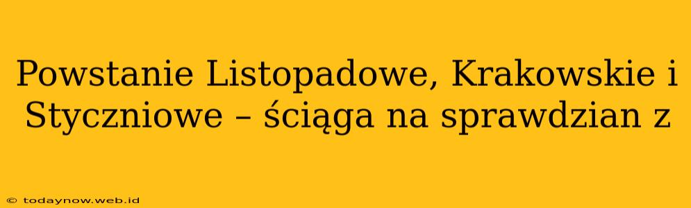 Powstanie Listopadowe, Krakowskie i Styczniowe – ściąga na sprawdzian z